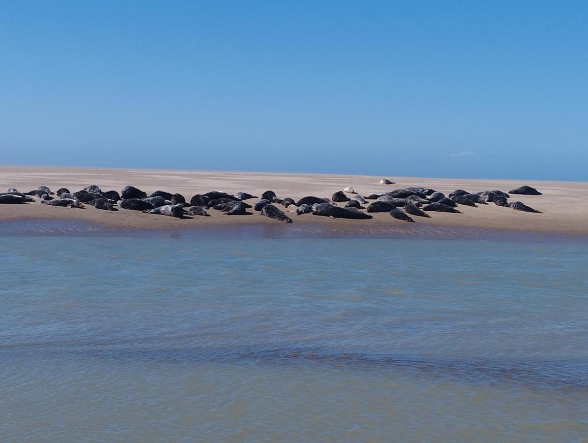Le Gite De La Salicorne Marck Esterno foto